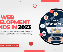 Expert Web Development in Edmonton with Umano Logic