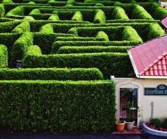 Comfortable Pet Friendly Vacation Homes Luray