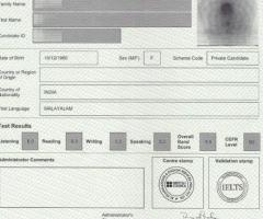 Ielts Certificates  I D Cards /Driver's License - 1