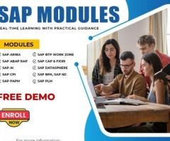 SAP Modules with a Free Live Demo by Visualpath