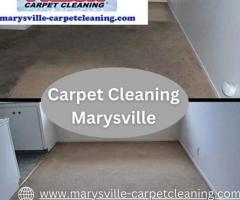 Professional Carpet Cleaning Services in Marysville