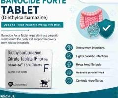 Banocide Forte Tablet (Diethylcarbamazine) | Parasite Treatment