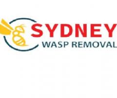 Sydney Wasp Removal
