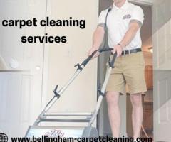 Revive Your Carpets: Professional Cleaning Services