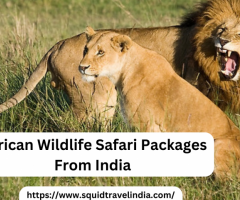 African Wildlife Safari Packages From India | Squid Travel