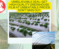 Unbelievable Deal: Get High-Quality Greenhouse Film at Unbeatable Prices! Don't Miss Out
