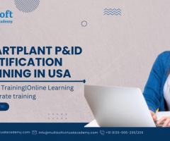 SmartPlant P&ID Certification Training in USA