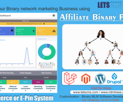 MLM Binary Plan Affordable Affiliate Marketing Software | Binary Affiliate Programs For Top Payouts