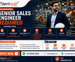 Senior Sales Engineer Jobs in Maharashtra | Immediate Hiring | TalentGait