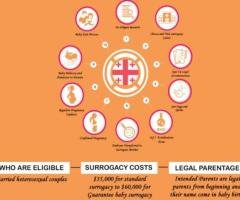 Surrogacy Services in Georgia | Surrogacy Cost in Georgia
