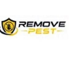 Pest Control Services In Kandivali