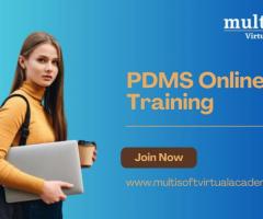 PDMS Online Training