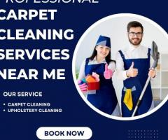 Get professional carpet cleaning services near me