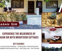 Best Resorts in Sasan Gir - Bright View Cottage