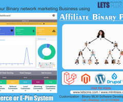 Binary Plan for MLM Software - Binary Matrix and Level Plan with Affiliate Program