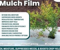 Benefit of mulch films in agriculture. What are the uses of Mulch Films?