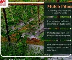 Benefit of mulch films in agriculture. What are the uses of Mulch Films?