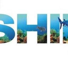 Best fishing charters Gold Coast