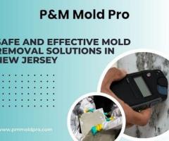Safe and Effective Mold Removal Solutions in New Jersey