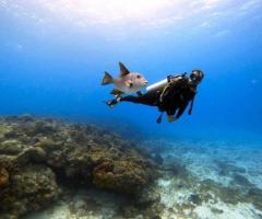 Dive into Adventure with Phuket Dive Center - 1