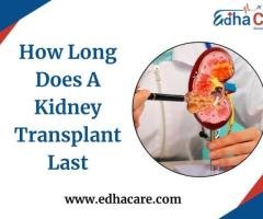 Kidney Transplant Lifespan | Duration & Factors
