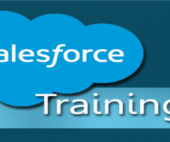 Elevate Your Salesforce Career: Achieving Success with Salesforce Consultant Certification
