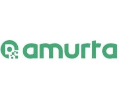 Amurta MDM Platform – Advanced Master Data Management for Modern Enterprises