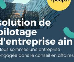 Aide TPE Haute-Savoie: Supporting Small Businesses in the Heart of the Alps