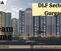 DLF Sector 77 gurgaon