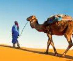 Morocco guided Private Tours