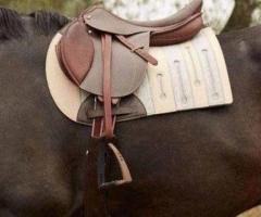 Best Saddle Pads for Horses – Shop Quality Equestrian Saddle Pads
