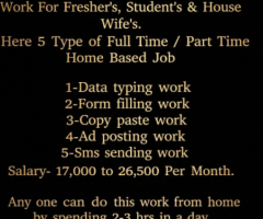 Full Time / Part Time Home Based Data Entry Jobs