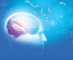 Understanding Serotonin (5-HT) Receptors and Their Role in Mental Health
