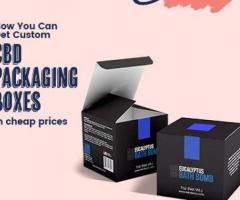 How You Can Get Custom CBD Packaging Boxes in cheap prices