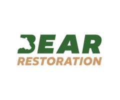 Bear Restoration