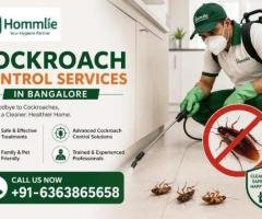 Cockroach Control Experts in Bangalore