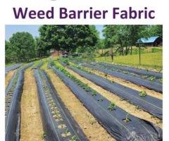 Choosing the Right Weed Barrier Fabric for Gardens