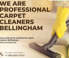 We are professional carpet cleaners Bellingham
