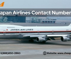 Japan Airlines contact phone number - 1