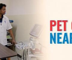 Pet Clinic Near Me | CGS Hospital Sarojini Nagar