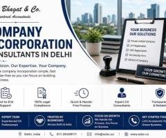 Reliable Company Incorporation Guidance in Delhi