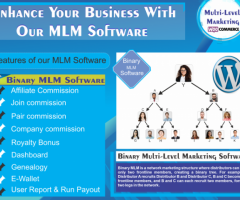 Binary WooCommerce or Affiliate System, MLM Plugins - BMW MLM WordPress in Malaysia