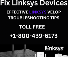 Linksys Support | +1-800-439-6173 | Professional Support for Linksys Devices