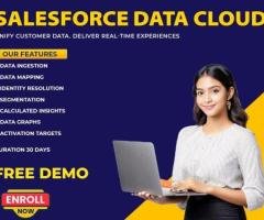 Salesforce Data Cloud Training Ameerpet | Online Course