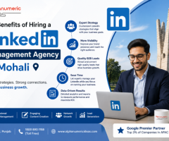 Boost Your LinkedIn Presence Today
