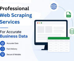 Professional Web Scraping Services for Accurate Business Data