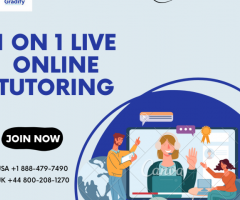 1-on-1 Live Online Tutoring services - 1
