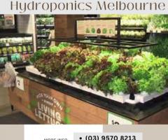 How to Get Started with Hydroponics in Melbourne