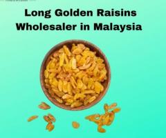 Golden Harvest: Malaysia's Premier Long Golden Raisins Wholesaler
