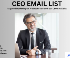 Updated CEO Email List Providers In USA-UK